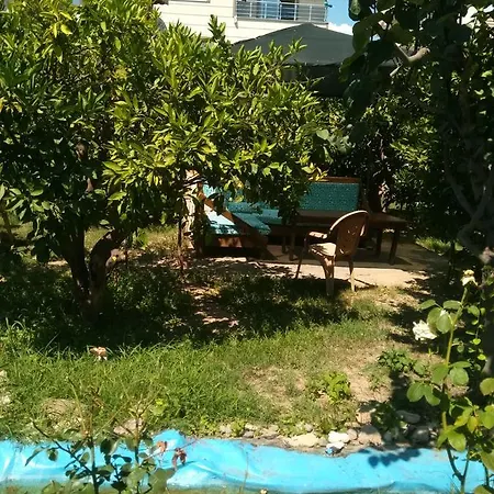 ホテル Mandarin Beach