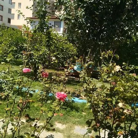 Mandarin Beach